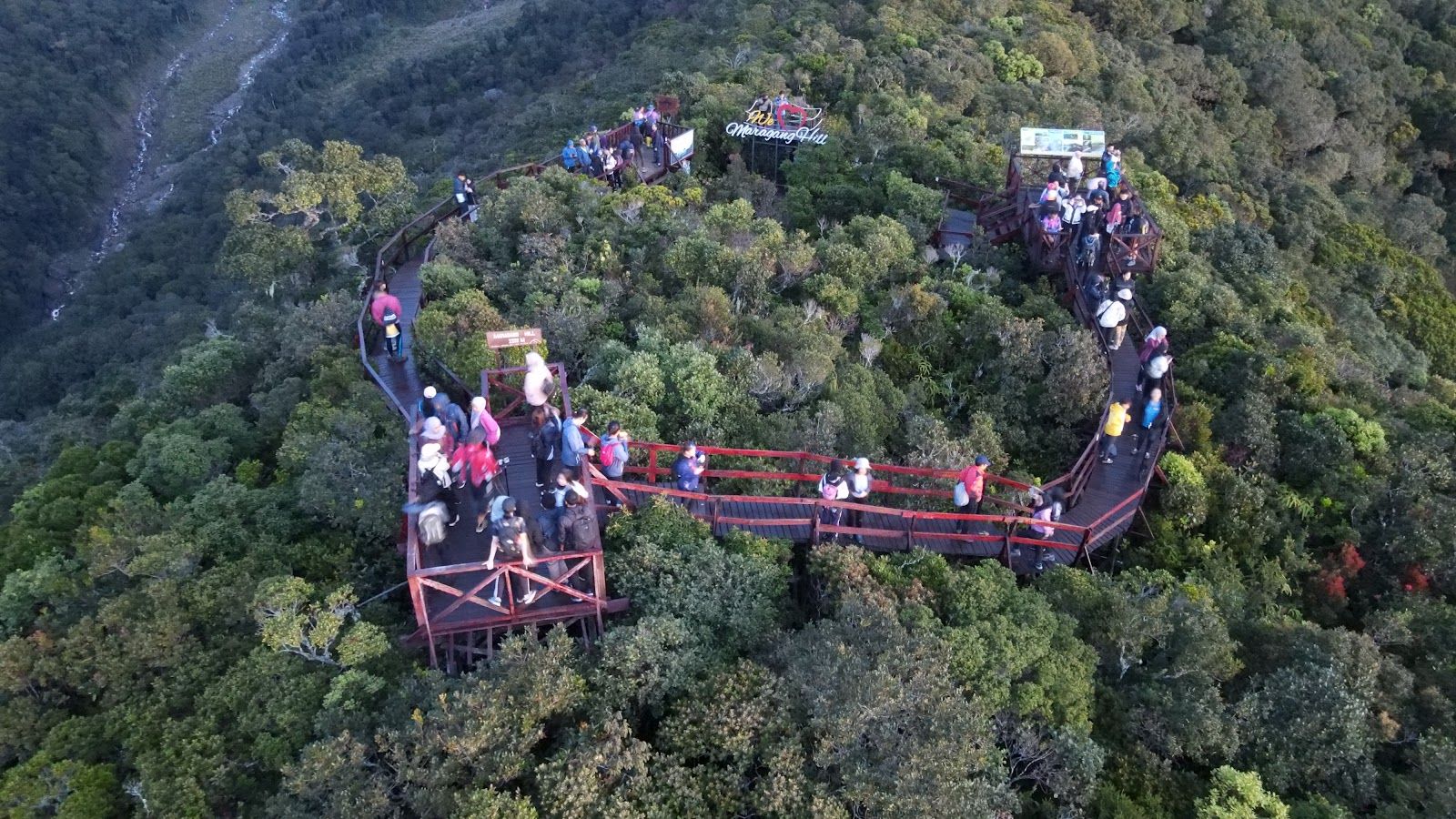 Pemandangan canopy walk Maragang Hill, Kundasang (foto Google)